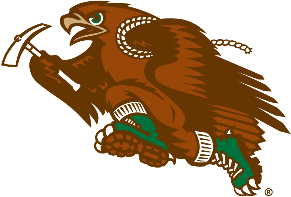 Lehigh Mountain Hawks 1996-Pres Mascot Logo t shirts DIY iron ons